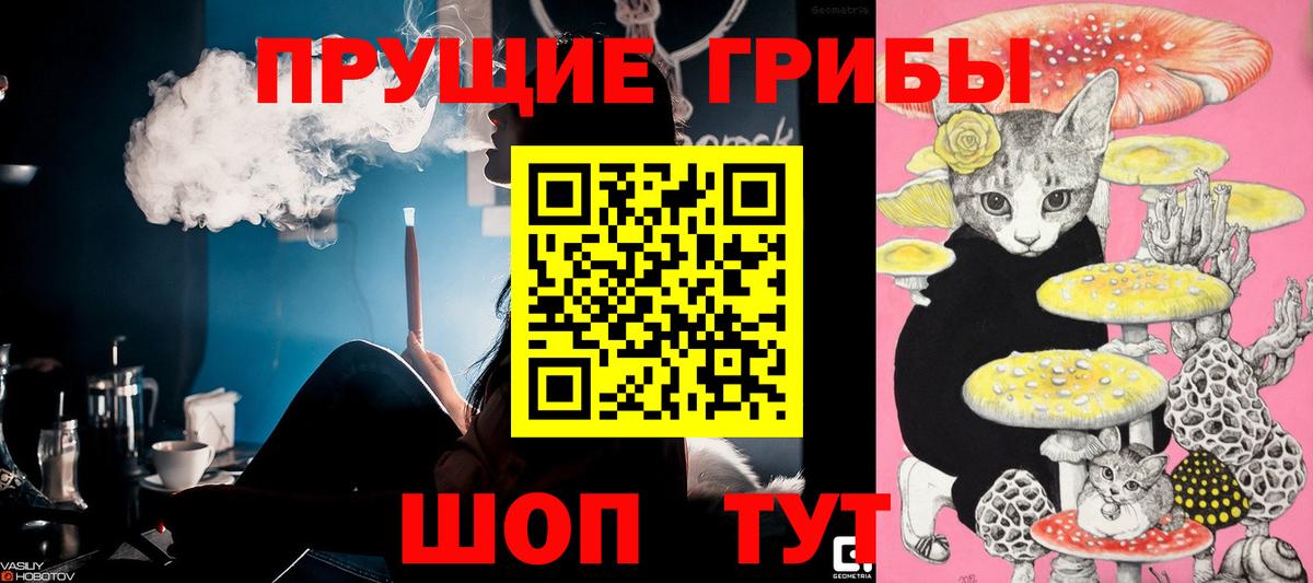 Галлюциногенные грибы мухоморы Советск